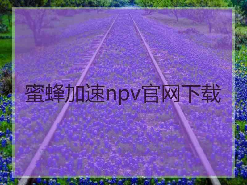 蜜蜂加速npv官网下载