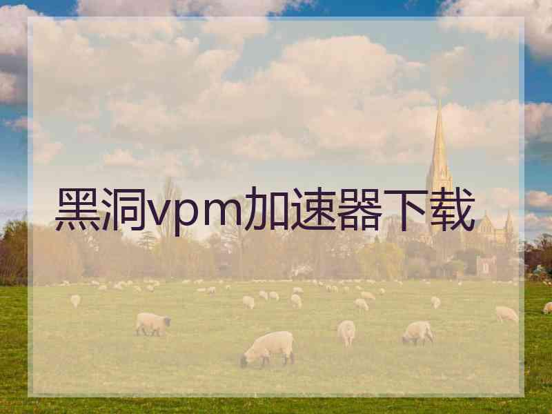 黑洞vpm加速器下载