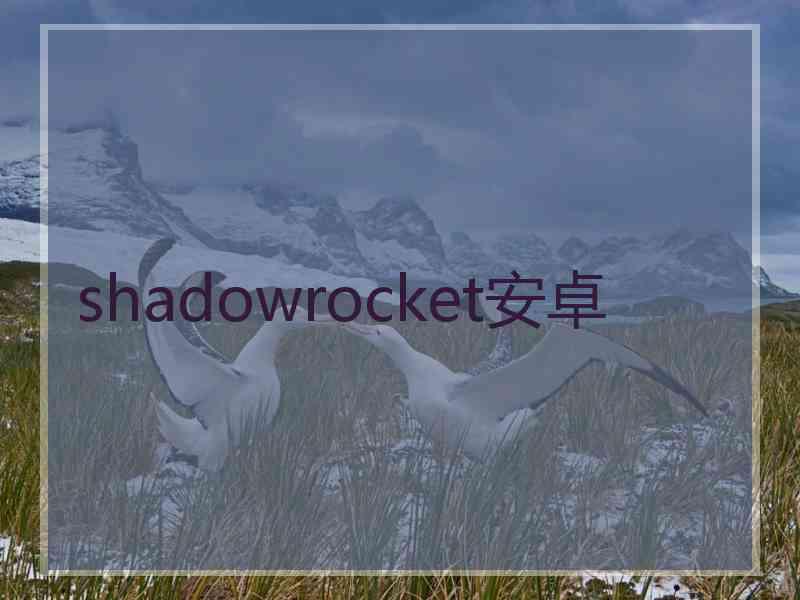 shadowrocket安卓